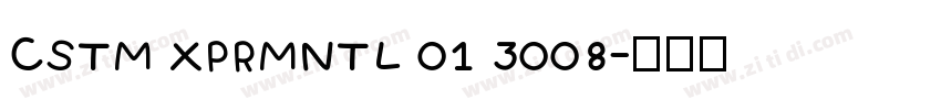 CSTM XPRMNTL 01 3008字体转换